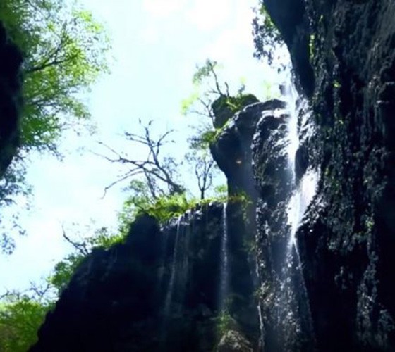 青山綠水，白龍江畔江畔息白鷺，兩岸綠橄欖入眼的都是純樸自然枝上花開(kāi)，春來(lái)水暖魚(yú)蝦戲水，鳥(niǎo)語(yǔ)花香心中充滿(mǎn)著舒暢之感祥宇生態(tài)產(chǎn)業(yè)園，位于隴南市武..